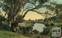 Mitchell River, Bairnsdale