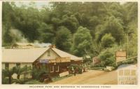 Micawber Park and entrance to Sherbrooke Forest