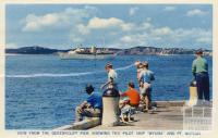 View from the Queenscliff pier, 1964