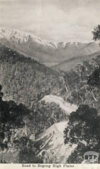 Road to Bogong High Plains