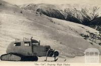 Sno Cat, Bogong High Plains