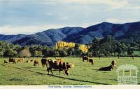 Pastoral scene, Wandiligong