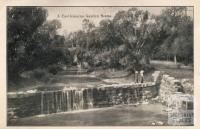 A Castlemaine garden scene, 1915