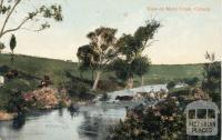 View on Merri Creek, Coburg