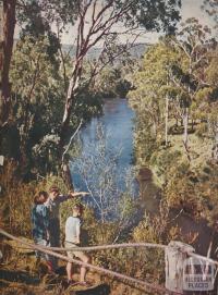 Yarra River, Warrandyte, 1954