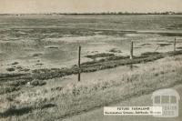 Future farmland, reclamation scheme, Edithvale, 1954