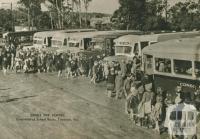 Consolidated school buses, Timboon, 1954