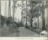 On the road to Sassafras, Mount Dandenong, 1918