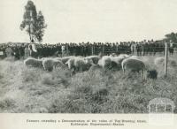 Farmers attending a demonstration of the value of top-dressing grass, Rutherglen Experimental Station, 1918