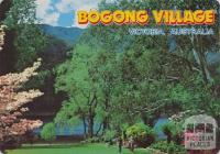 The Picnic Ground, Bogong Village