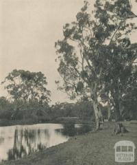 On the Glenelg River, 1943