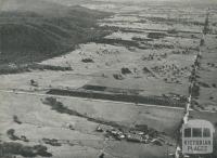 Orange Groves, Warby Ranges, Glenrowan, 1960