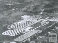 British Nylon Spinners and Fibremakers Factories, Bayswater North