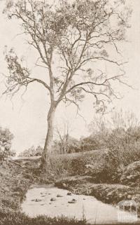 Old Ford, Darebin Creek, Ivanhoe, 1937