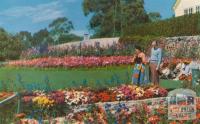 The Chalet Garden, Mount Buffalo, c1960