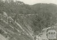 Train entering the Thomson Valley, Walhalla, c1910