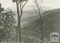 Mount Baw Baw, Walhalla, c1910