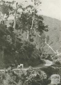 A Mountain Road, Walhalla, c1910