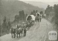 Teamsters, Walhalla, c1910