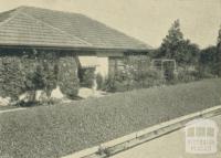 A private garden, Yallourn, 1961