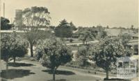 Looking towards Green Street from Broadway, Yallourn, 1961