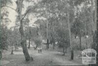 Bushlands, Hepburn Springs, 1959