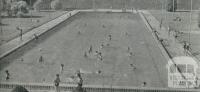 Modern Olympic Pool, Maryborough, 1959