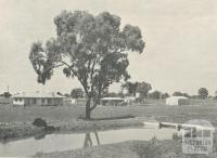 An irrigated property at Waaia, 1964