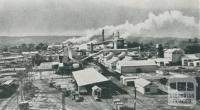 Paper pulp and kraft mill, Maryvale, 1955