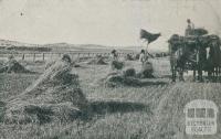 Carting in the crop, Colbinabbin, 1911