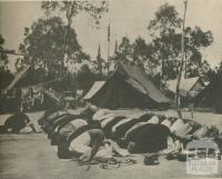 Pakistan and Malay contingents at the Pan-Pacific jamboree, Wonga Park, 1950