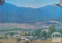 Horseriding, a popular pastime around Mount Beauty