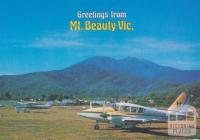 Airfield, Mount Beauty