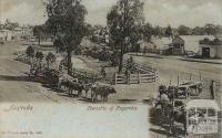 Township of Nagambie, c1909