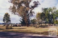 Tarrawingee near St Stephens Church, 2000