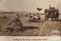 Carting in the crop, Colbinabbin Estate, 1911