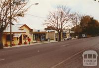 Main Street, Welshpool, 2003