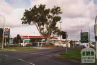 Historic red gum, corner of Manningham Road and Bridge Street, Bulleen, 2005