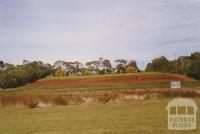 Bolwarra (Western District) flower farm, 2006