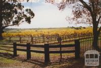 Seppelts vineyards, Drumborg, 2006