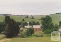 Merino from Maud and Levy Streets, 2008