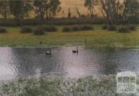 Glenelg River, Casterton, 2008