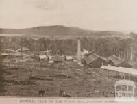 Cuming's wood distillation works, Yarra Junction, 1908