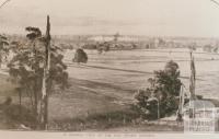 Moe swamp district, 1909