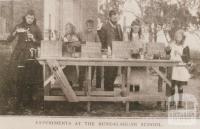 Experiments at Bundalaguah school, 1909