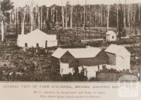 Halford Brothers' farm, Kongwak, 1910