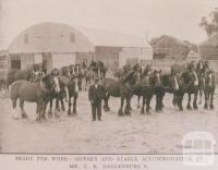 Horses and stable accommodation, Kiata, 1912