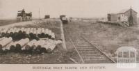 Boisdale beet siding and station, 1912