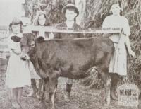 Children with prize calf, Yinnar South, 1923