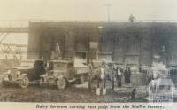 Carting beet pulp from Maffra factory, 1936